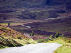 The route is undulating