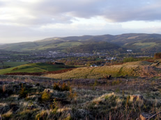 Peebles from afar